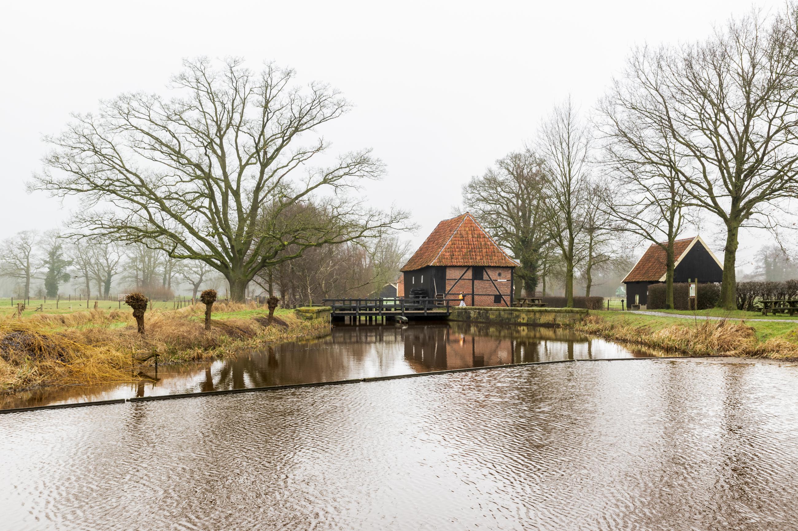 Oeler Molen in februari 2025