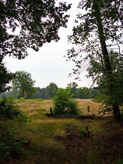 Borkeld, zicht op de heide