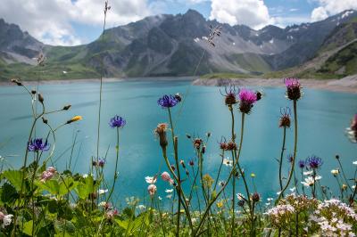 Lünersee met bloemen