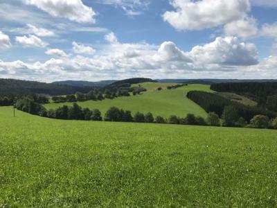 Landschap tijdens wandeling