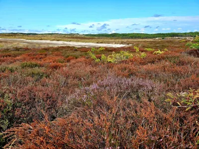 schoorl-bergen duin en hei