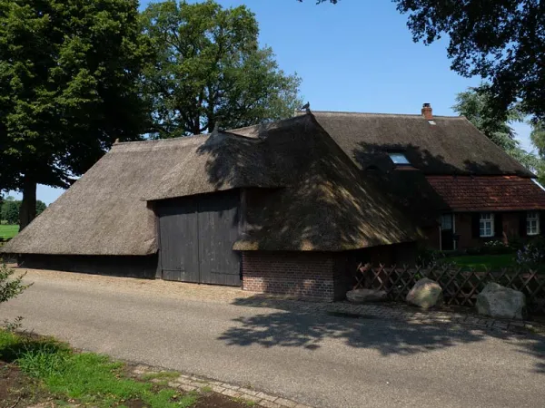 Borkeld, dwarsritschöppe