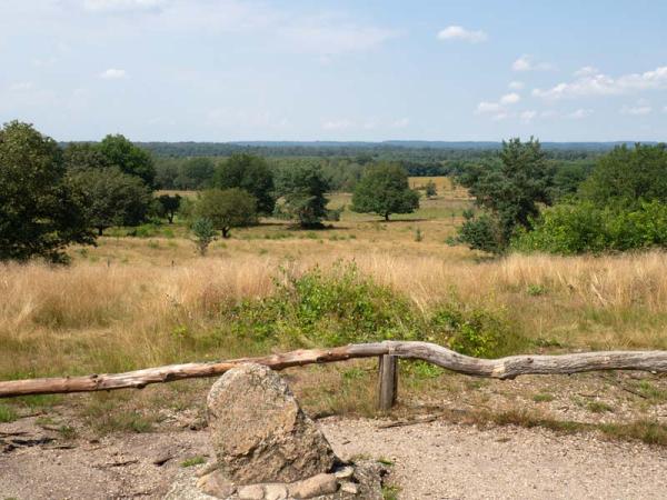 Friezenberg, uitzicht