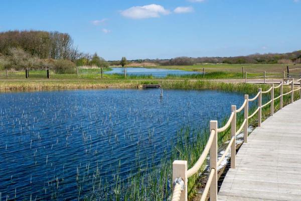 water in duinreservaat