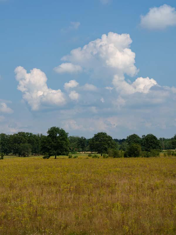 Uitzicht over Elsenerveld- en veen