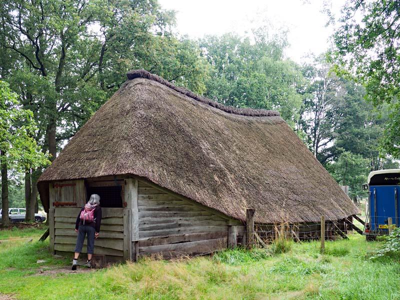 Borkeld, schaapskooi