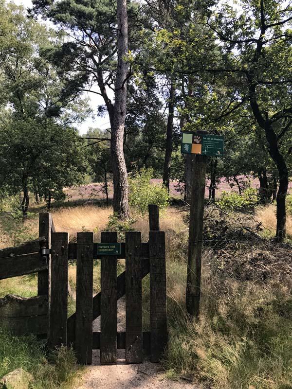 Ingang van dal van de Mosbeek in laatste stuk van de wandeling