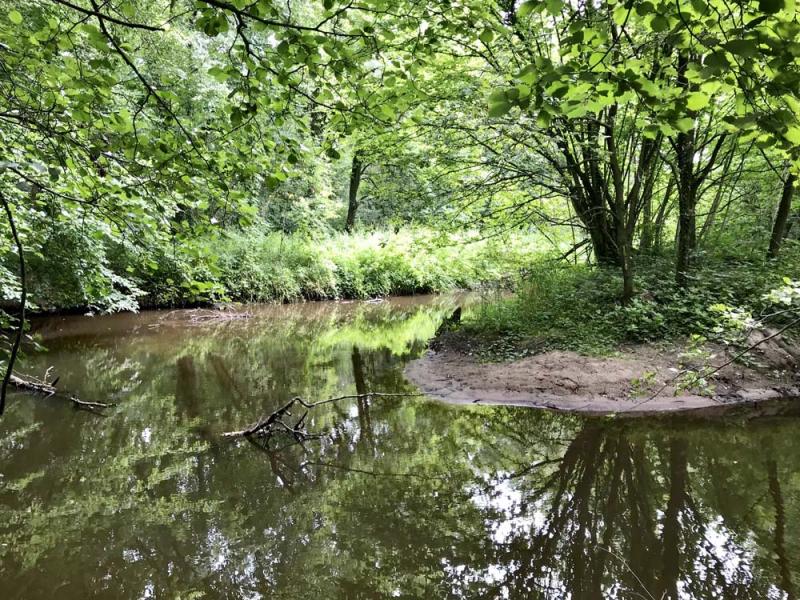 Bovenslinge in Buskersbos met een horseshoebend