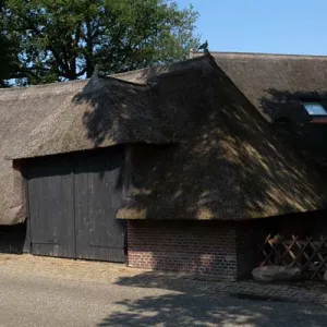 Borkeld, dwarsritschöppe