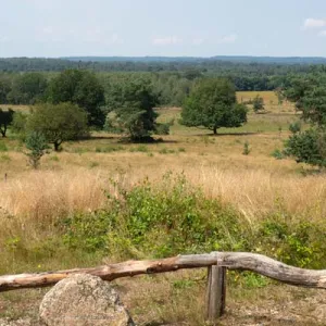 Friezenberg, uitzicht