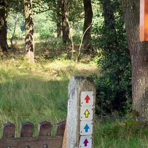 Borkeld ingang begraasd gebied