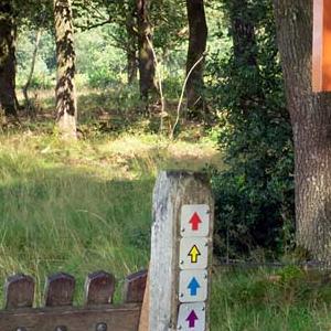 Borkeld ingang begraasd gebied