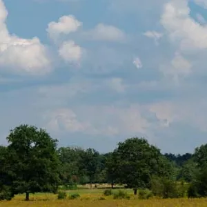 Uitzicht over Elsenerveld- en veen