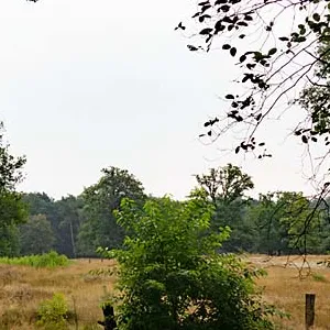 Borkeld, zicht op de heide