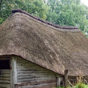 Borkeld, schaapskooi