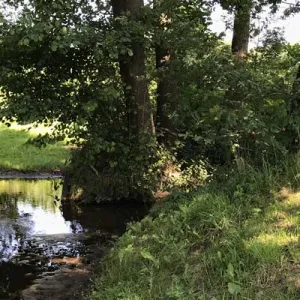Mosbeek, foto