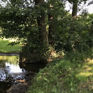 Mosbeek, foto