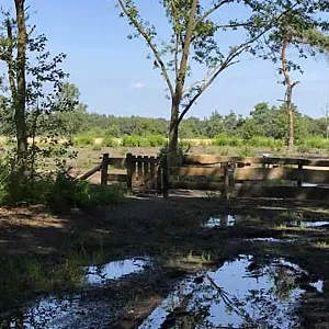 Cirkels van Mander, ingang 