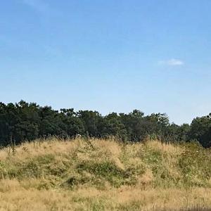zuidelijkste hunebed van Nederland