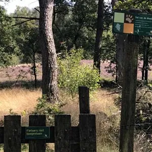Ingang van dal van de Mosbeek in laatste stuk van de wandeling
