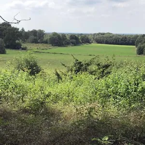 Uitzicht van Galgenberg