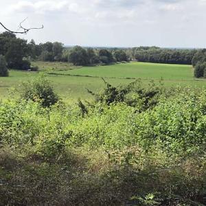Uitzicht van Galgenberg