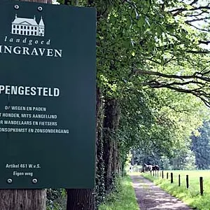 Bordje Singraven
