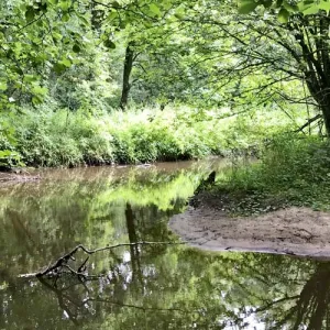 Bovenslinge in Buskersbos met een horseshoebend