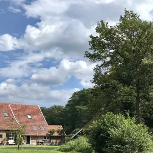 Mondriaanroute boerderij onderweg