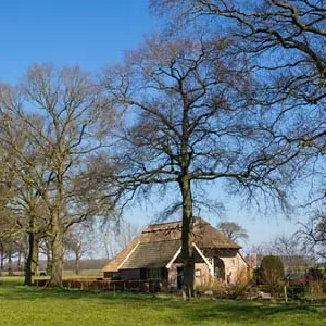 Boerderij met eiken Kattenberg onderweg