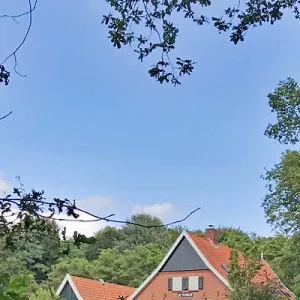 De Ticheler