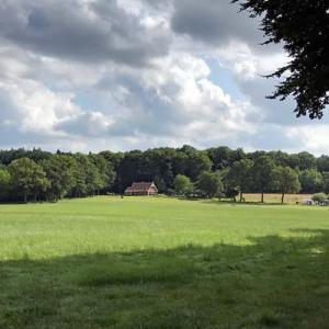 Tankenberg uitzicht