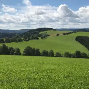 Landschap tijdens wandeling