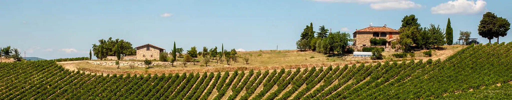 kopfoto reis toscane