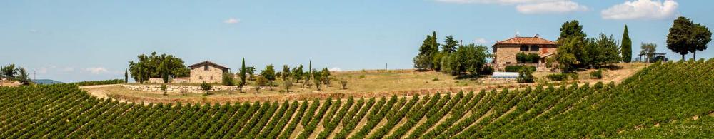 kopfoto reis toscane
